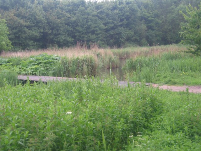 img_5304.jpg