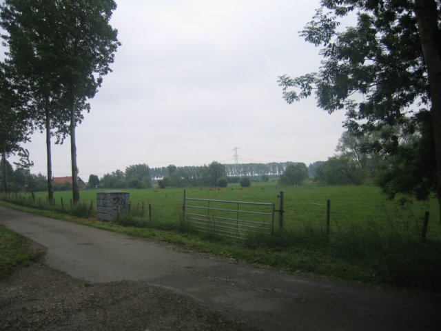 img_5356.jpg