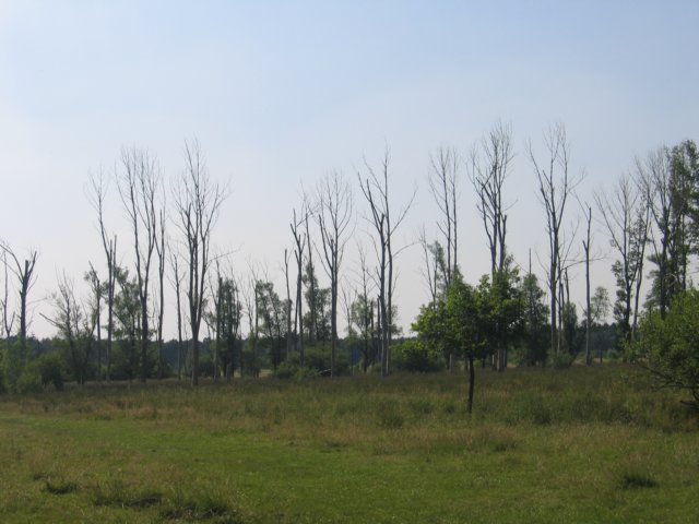 img_5777.jpg
