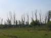 img_5777_small.jpg
