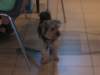 img_5793_small.jpg