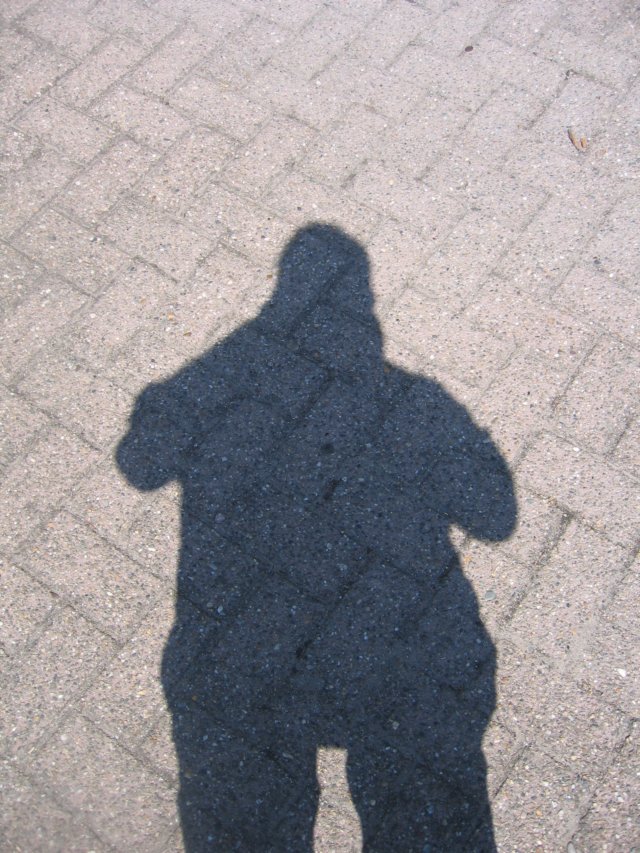 img_5799.jpg