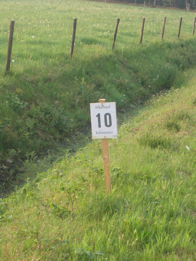 img_5135.jpg