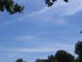 img_5897_small.jpg