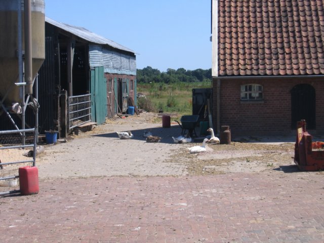 img_5908.jpg