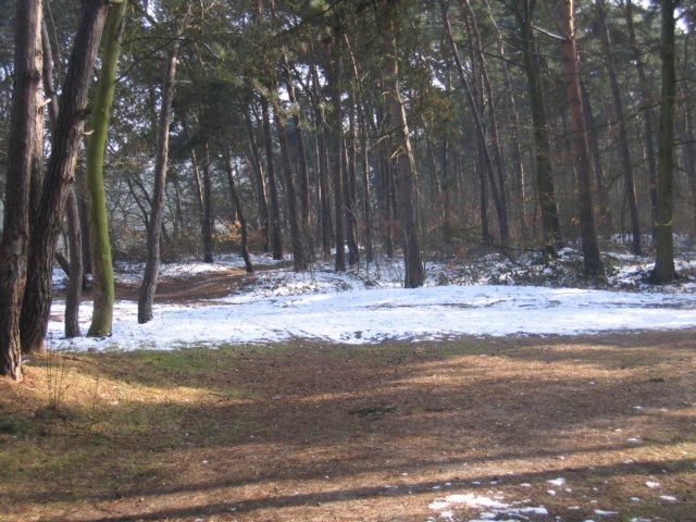 img_4276.jpg