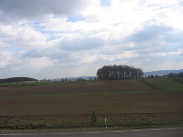 img_4844.jpg