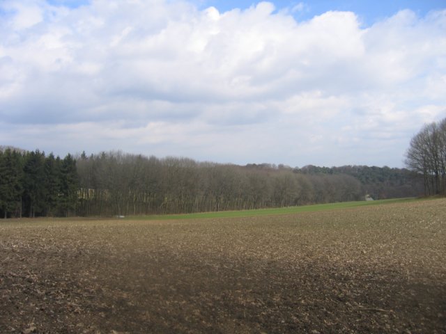 img_4849.jpg