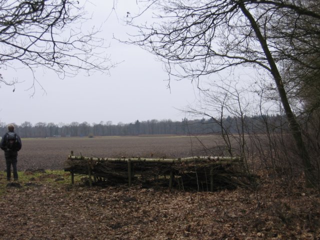 img_4122.jpg