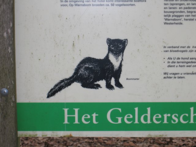 img_4148.jpg