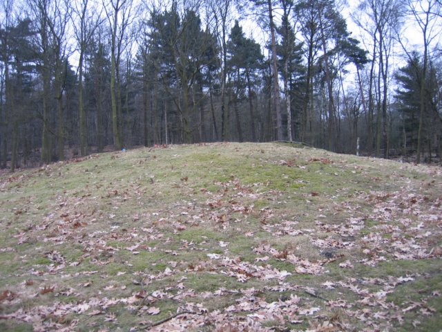 img_4150.jpg