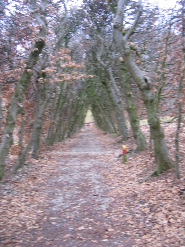 img_4177.jpg