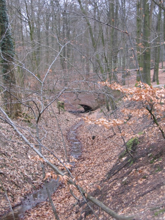 img_4181.jpg