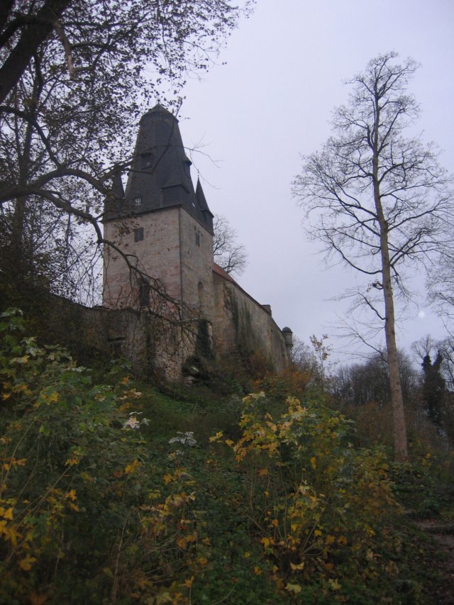 img_6243.jpg
