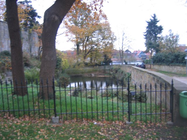 img_6250.jpg