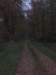 img_6264_small.jpg