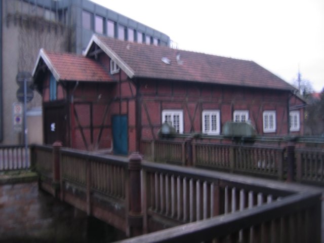 img_6310.jpg