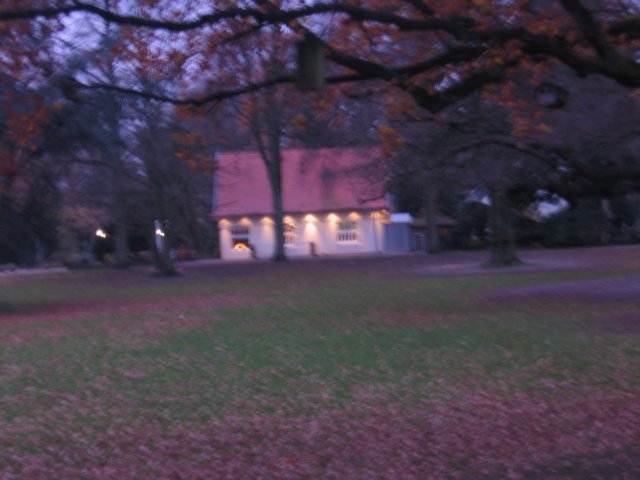 img_6315.jpg