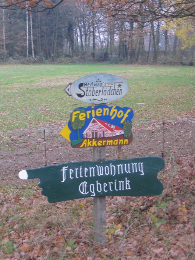 img_6379.jpg
