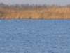 img_6405_small.jpg