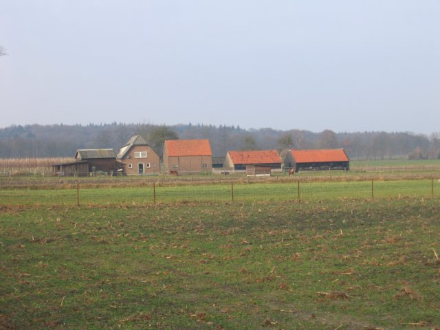 img_3641.jpg