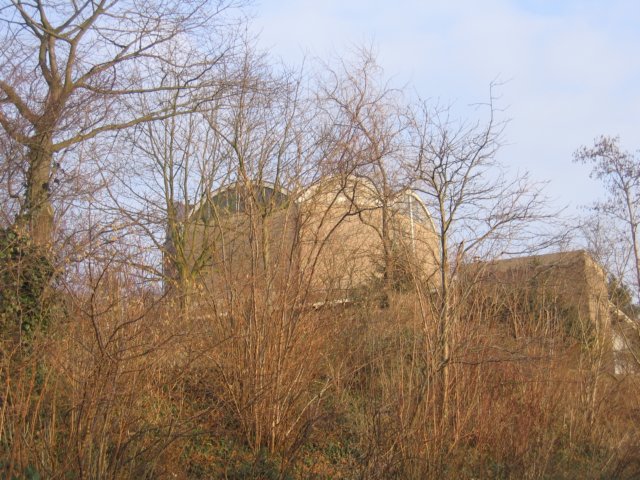 img_3676.jpg