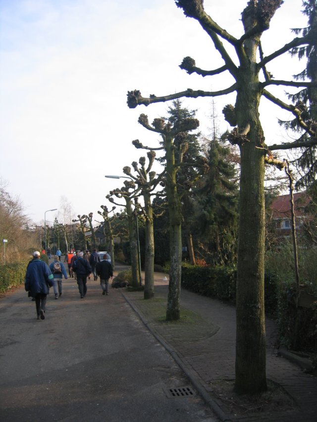 img_3677.jpg