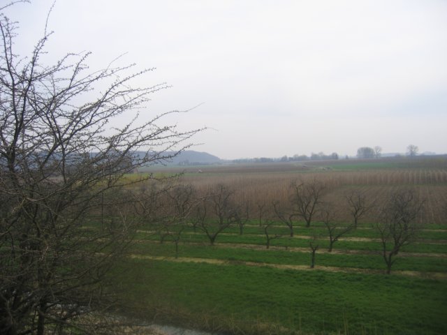 img_4889.jpg