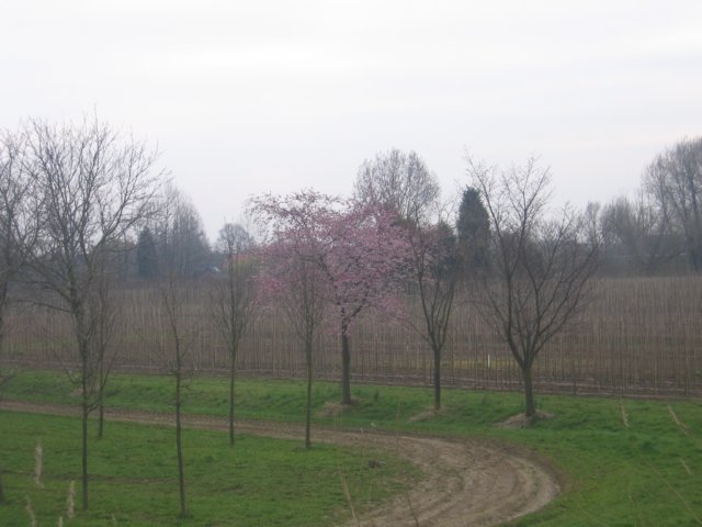 img_4890.jpg