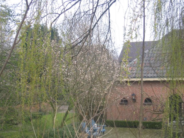 img_4901.jpg