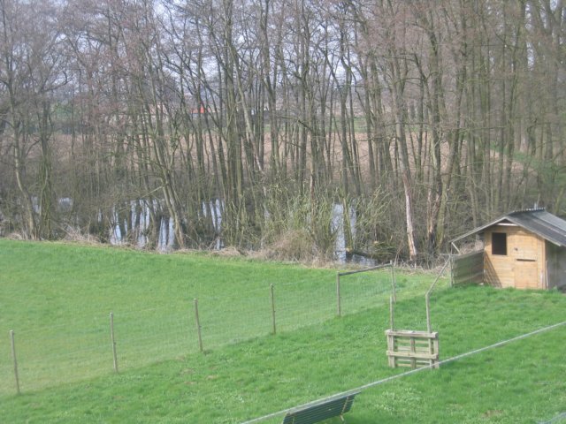 img_4905.jpg