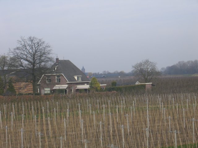 img_4916.jpg