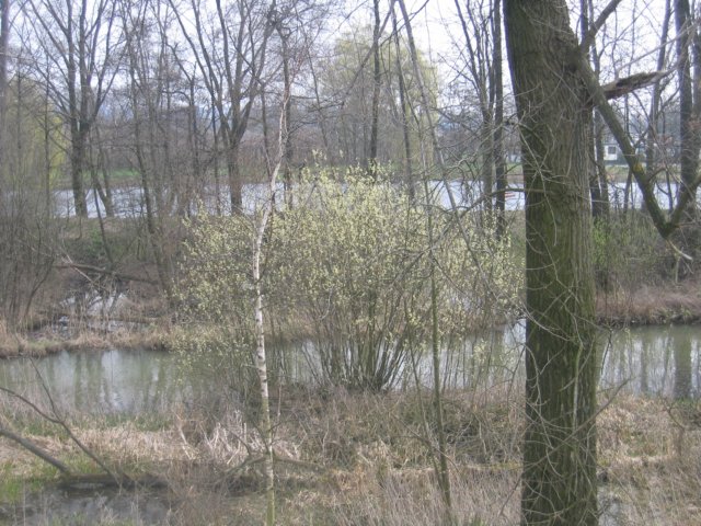 img_4918.jpg