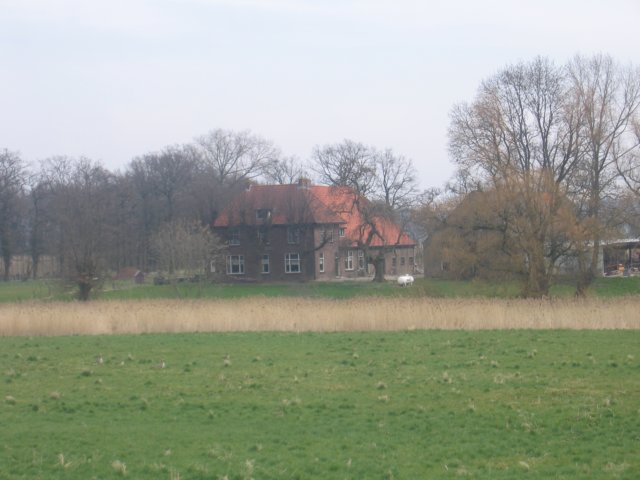 img_4925.jpg
