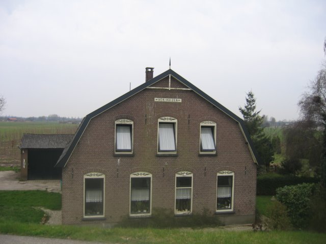 img_4950.jpg