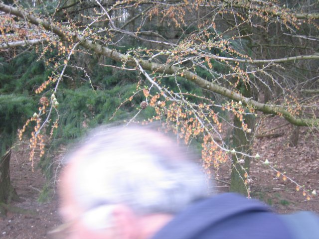 img_4968.jpg