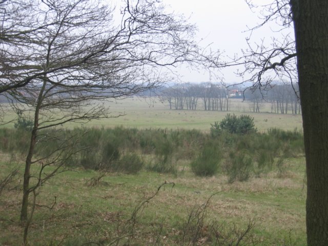 img_4971.jpg