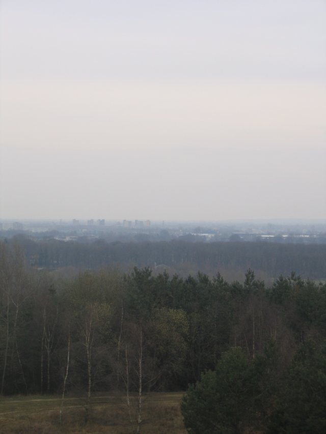 img_4973.jpg