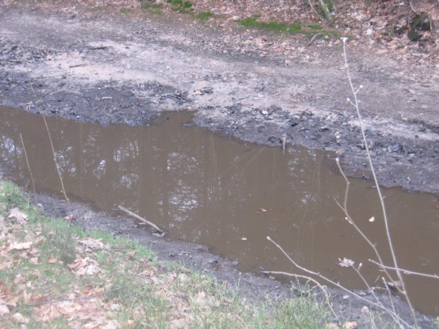 img_4975.jpg
