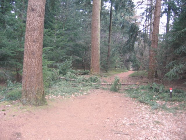 img_4977.jpg