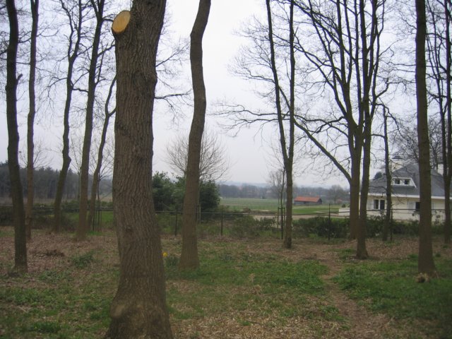 img_4981.jpg