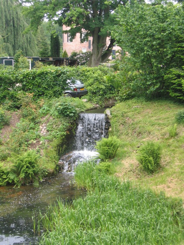 img_5560.jpg