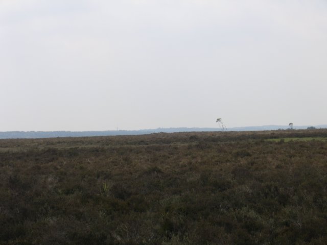 img_5607.jpg