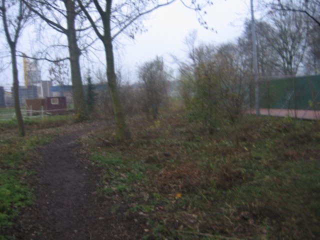img_6428.jpg