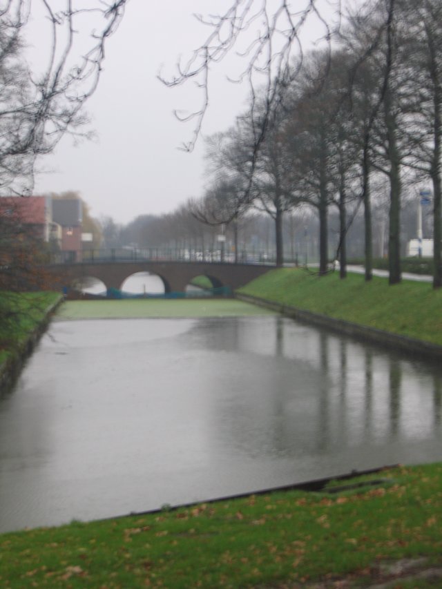 img_6438.jpg