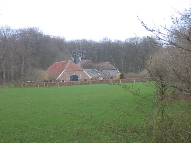 img_4992.jpg