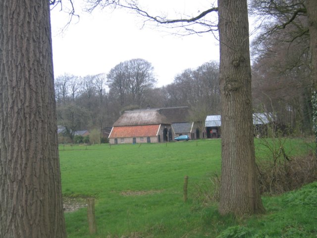 img_4994.jpg
