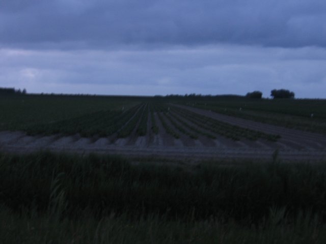 img_5402.jpg