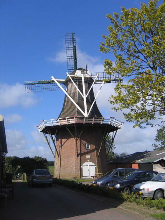 img_5524.jpg