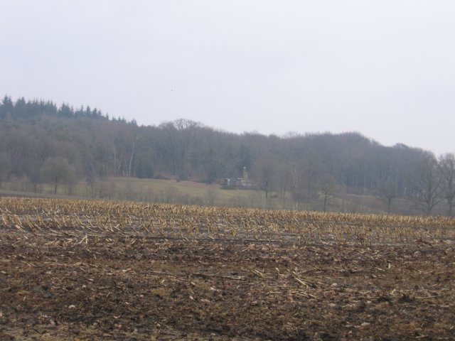 img_4651.jpg
